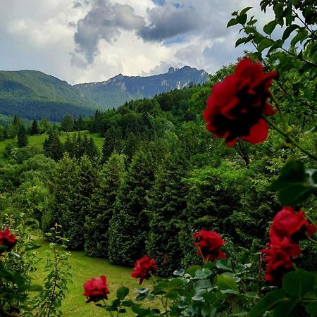 Cabana Dochita Ceahlău エクステリア 写真